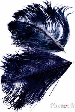 Hanger struisvogelhoofd - 17-20 cm - zwart